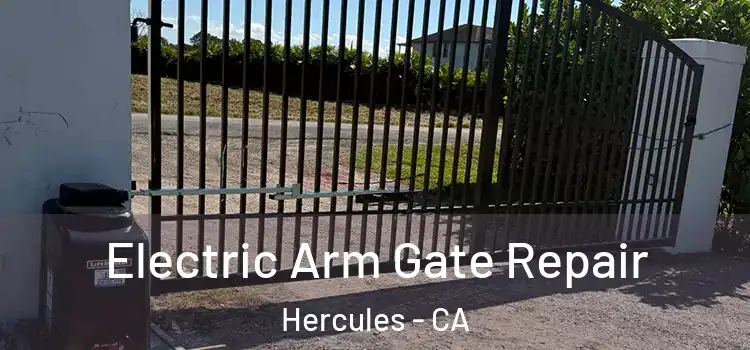 Electric Arm Gate Repair Hercules - CA