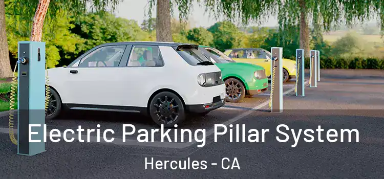  Electric Parking Pillar System Hercules - CA