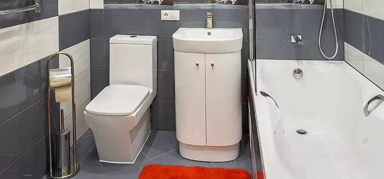 Hansgrohe Shaving Mirror Hercules